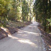 realizzazione strade forestali (16)